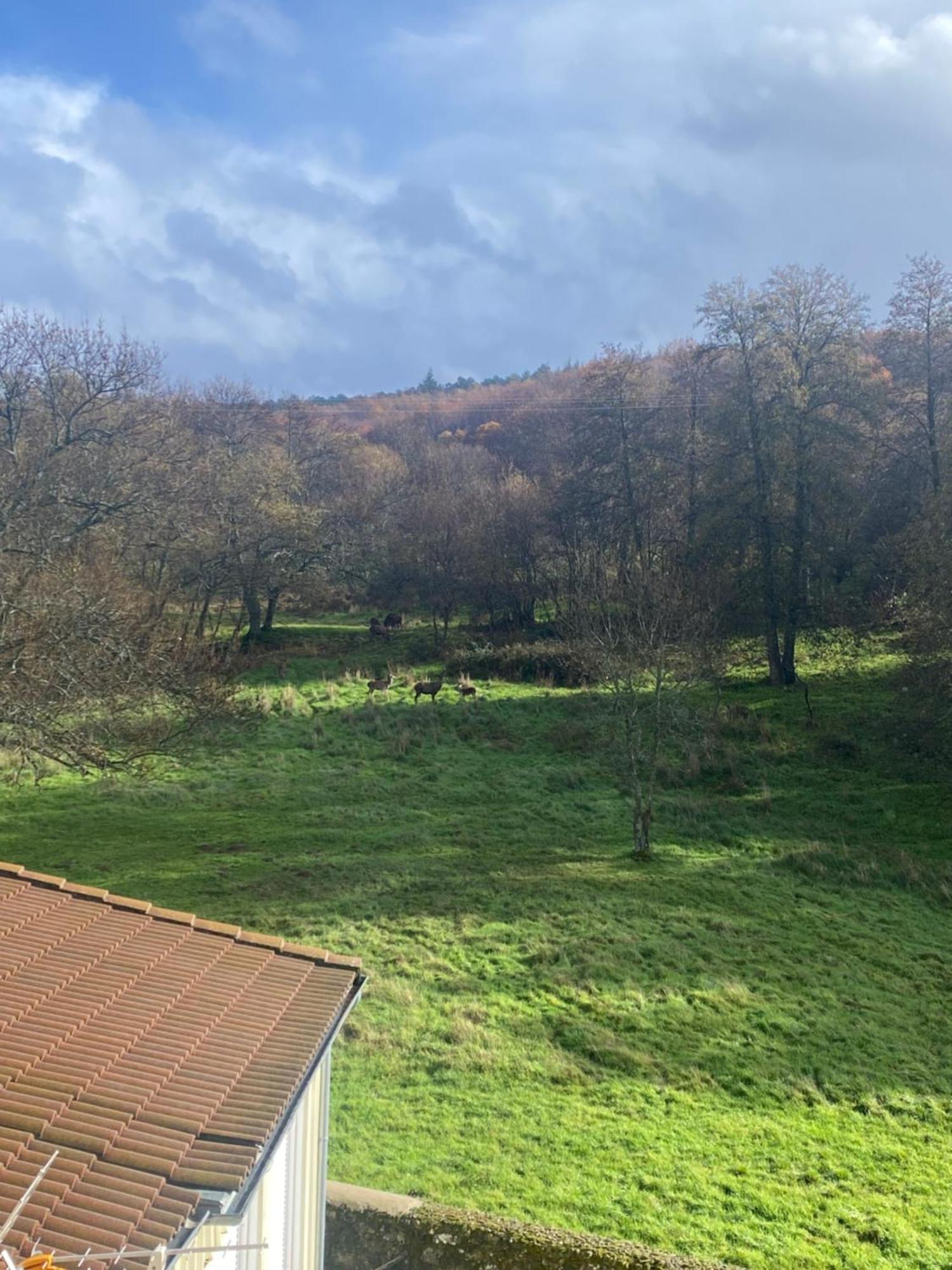 דירות בחאר Casa Del Bosque מראה חיצוני תמונה